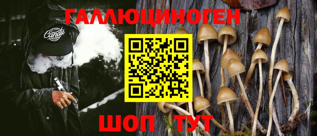 Cocaine  Героин  Бошки Шишки  Ишимбай  Гашиш  Меф   Вход с VPN  Alpha PVP СК  